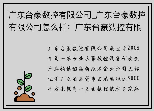 广东台豪数控有限公司_广东台豪数控有限公司怎么样：广东台豪数控有限公司：引领数控行业创新